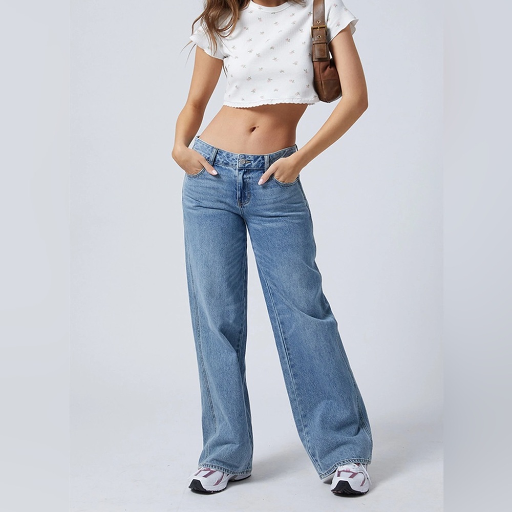 Pacsun Casey Low Rise Baggy Jeans Astrid